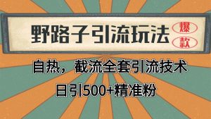 2024首发野路子引流玩法截流自热全平台打法,全自动引流【日引2000+精准客户】-理想项目库