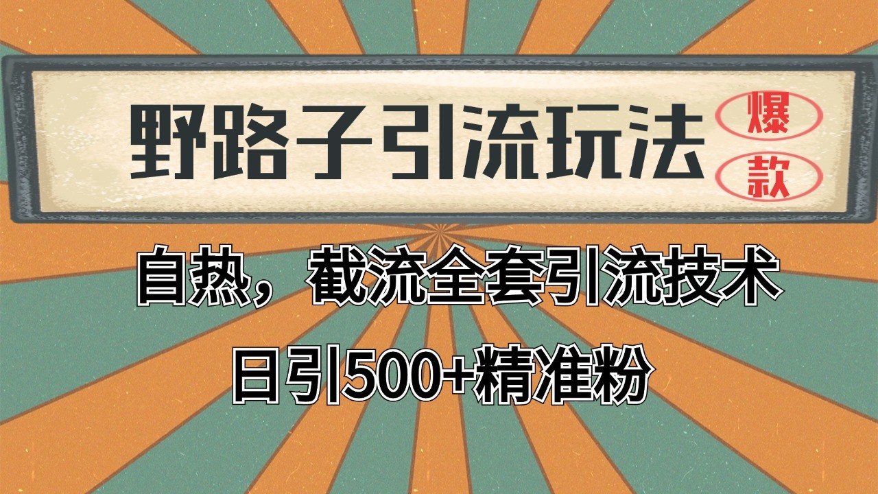 2024首发野路子引流玩法截流自热全平台打法，全自动引流【日引2000+精准客户】-理想项目库