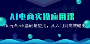 AI电商实操应用课:DeepSeek基础与应用,从入门到高效输出-理想项目库