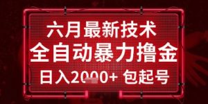 六月最新技术全自动暴力撸金，稳定日入2k+包起号，长期稳定【揭秘】-理想项目库
