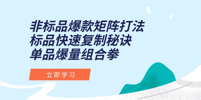 非标品爆款矩阵打法，标品快速复制秘诀，单品爆量组合拳-理想项目库