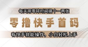 零撸快手首码,每天用零碎时间搞个一两张,有快手就能操作小白轻松上手【揭秘】-理想项目库