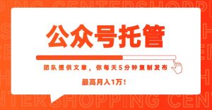 【公众号托管 】我提供文章,你每天5分钟复制发布,最高月入1W-理想项目库