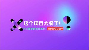 用AI工具无脑生成，小白零成本操作，轻松日入1000+，现在入局正当时！-理想项目库