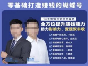 蝴蝶号专栏-视频号运营教程，零基础打造挣钱的蝴蝶号，14天蝴蝶号变现全攻略-理想项目库