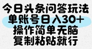 今日头条问答玩法，单账号日入30+，操作简单无脑复制粘贴就行-理想项目库