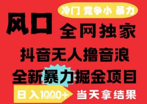 25年6月高爆抖音无人直播最新撸音浪掘金项目,解放双手小白可做,无脑日入1k+,门槛低【揭秘】-理想项目库