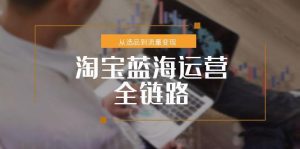 淘宝蓝海运营全链路,从选品到流量变现,小类目突围完整方案-理想项目库