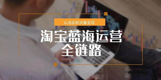 淘宝蓝海运营全链路，从选品到流量变现，小类目突围完整方案-理想项目库