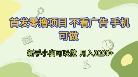 首发零撸项目 不看广告 手机可做 新手小白可以做  月入3k+【揭秘】-理想项目库