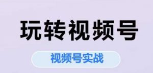玩转视频号，视频号实战系列课-理想项目库