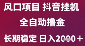风口项目，六月最新玩法抖音无人挂G，全自动撸金，长期稳定 日入2k+【揭秘】-理想项目库