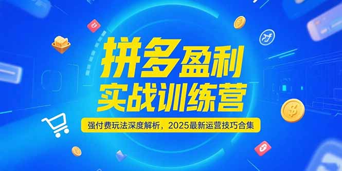 拼多多盈利实战训练营，强付费玩法深度解析，2025运营技巧合集-更新6月-理想项目库