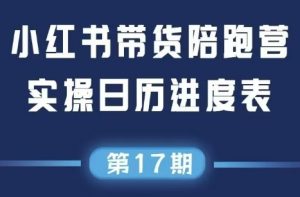 盗坤·抖音小红书视频号短视频带货与直播变现(11-17期)-理想项目库