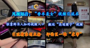 凡视知音:“香车美女”视频引流术,依靠鲜为人知的视频入口,搬运“高端圈子”视频,引流精准创业粉,评论区一堆“求带”-理想项目库