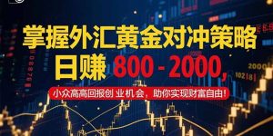 掌握外汇黄金对冲策略，日赚 800 – 2000，小众高回报创业机会，助你实…-理想项目库