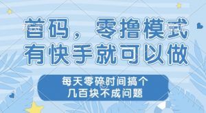 首码零撸项目，有快手就可以做，每天业务时间搞个几张不是问题【揭秘】-理想项目库