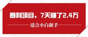 最新暴利项目，每单收益轻松在300以上，7天赚了2.4万-理想项目库