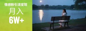 情感粉引流变现实操课：单月变现6w+，情感粉引流变现实操课-理想项目库