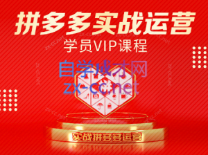 推易电商·拼多多实战运营课(更新2025月)-理想项目库