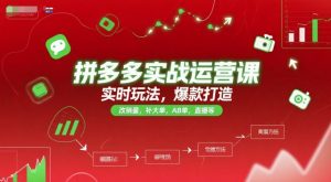 拼多多实战运营课,实时玩法,爆款打造,改销量,补大单,AB单,直播等(更新2025月)-理想项目库