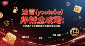 油管(youtube)挣钱全攻略:从开通广告收益到国内收款的实操指南-理想项目库