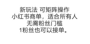 可矩阵操作，小红书商单新玩法，适合所有人，无需粉丝门槛，1粉丝也可以接单-理想项目库