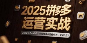 2025拼多多运营实战:店铺定位选品技巧,爆款打造全流程解析(更新6月-理想项目库