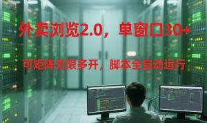 外卖浏览2.0，单窗口30+可矩阵无限多开，脚本全自动运行【揭秘】-理想项目库