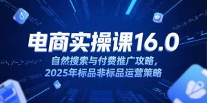 淘宝电商运营课16.0,自然搜索与付费推广攻略,2025年标品非标品运营策略-理想项目库