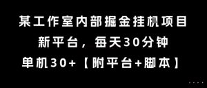 某工作室内部掘金挂G项目，新平台，每天30分钟，单机30+【揭秘】-理想项目库