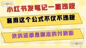 小红书发笔记一直违规,套用这个公式不仅不违规,来的还都是精准的付费粉-理想项目库