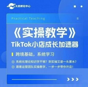 大卖家孵化中心TikTok实操课,TikTok小店成长加速器,跨境基础系统学习,一步一步带你开店-理想项目库