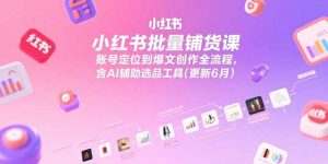 小红书批量铺货课，账号定位到爆文创作全流程，含AI辅助选品工具(更新6月-理想项目库