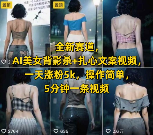 全新赛道，AI美女背影杀+扎心文案视频，一天涨粉5k，操作简单，5分钟一条视频-理想项目库