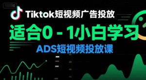 Tiktok短视频广告投放,适合0-1小白学习ADS短视频投放课-理想项目库