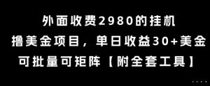 外面收费2980的挂G撸美金项目，单日收益30+美金，可批量可矩阵【揭秘】-理想项目库