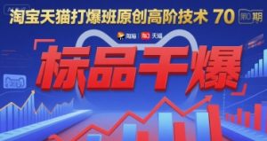 淘宝天猫打爆班原创高阶技术第70期:标品干爆-理想项目库