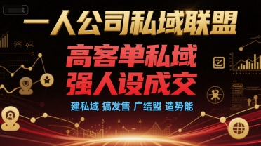 一人公司私域联盟，高客单私域，强人设成交，建私域 搞发售 广结盟 造势能-理想项目库