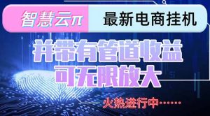 智慧云π电脑挂机单机每天收益300—500+ 并带有团队管道收益 可无限放大-理想项目库
