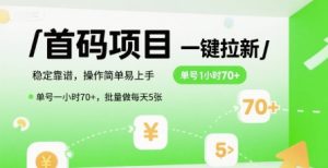 首码一键拉新项目，稳定靠谱，操作简单易上手，单号一小时70+，批量做每天5张【揭秘】-理想项目库
