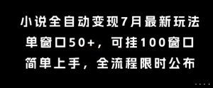 小说全自动变现7月玩法，单窗口50+，可挂100窗口，简单上手，全流程限时公布【揭秘】-理想项目库