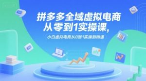 拼多多全域虚拟电商从零到1实操课,小白虚拟电商从0到1实操到精通-理想项目库