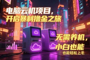 电脑云机项目 暴力撸金玩法，不需要养机 配置没有要求 单机100个窗口一…-理想项目库