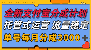 全新支付宝分成代运营,独家技术,收益稳定,单号月入3000+-理想项目库
