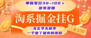 淘系掘金挂G项目,单账号日收益30~100+,多号多得,一个做了就有的项目【揭秘】-理想项目库