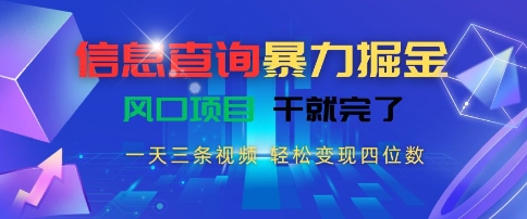 信息查询暴力掘金，一天三条视频，轻松变现四位数，风口项目干就完了【揭秘】-理想项目库
