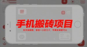手机搬砖项目，有手就能做，亲测一小时几十，苹果安卓都可以-理想项目库
