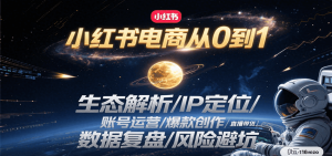 小红书电商从0到1:生态解析/IP定位/ 账号运营/爆款创作/直播带货/数据复盘/风险避坑-理想项目库