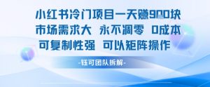 小红书冷门项目一天收益9张，市场需求大，0成本，可复制性强可以矩阵操作-理想项目库